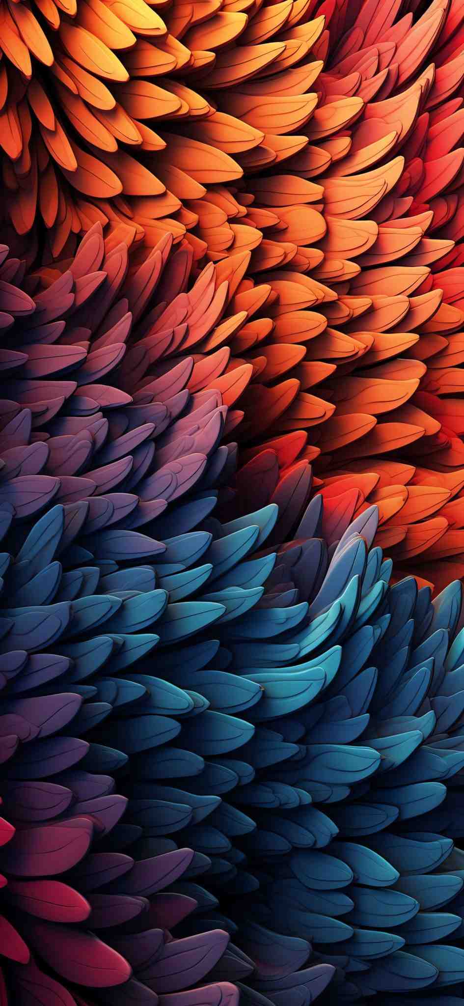 Curated Wallpaper