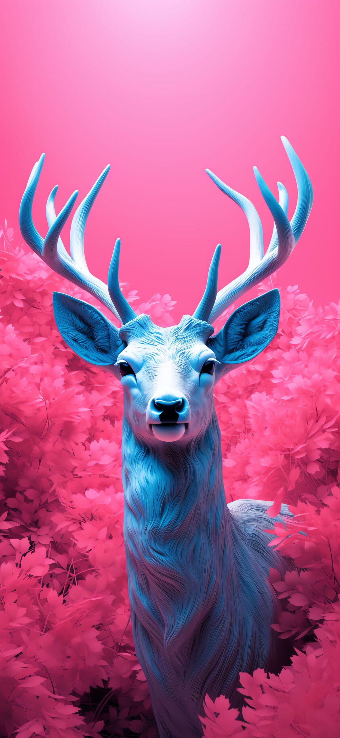 Curated Wallpaper